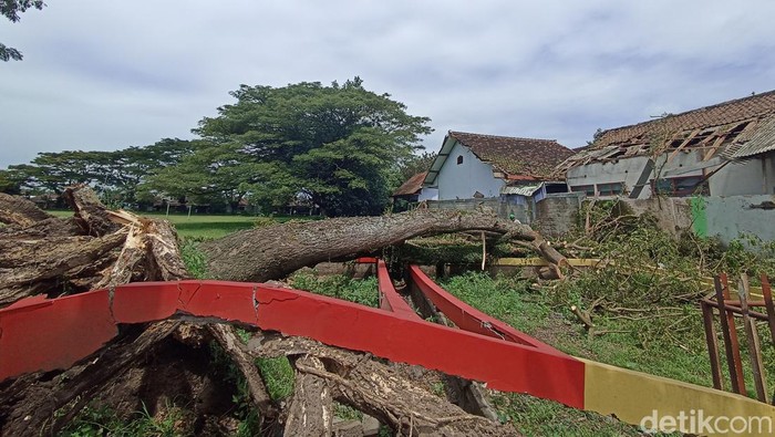 pohon tumbang timpa atap sd sananwetan 3 kota blitar