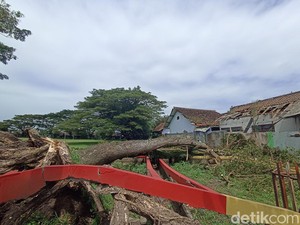 Atap SD Sananwetan 3 Kota Blitar Rusak Tertimpa Pohon Tumbang