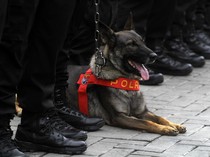 Polda Jateng Terjunkan K9 Antisipasi Sabotase Debat Pilgub Jateng