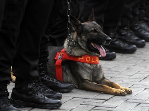 Polda Jateng Terjunkan K9 Antisipasi Sabotase Debat Pilgub Jateng