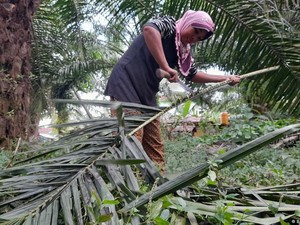 7 Tahun Negosiasi, Bagaimana Nasib Perjanjian Perdagangan Uni Eropa-RI?