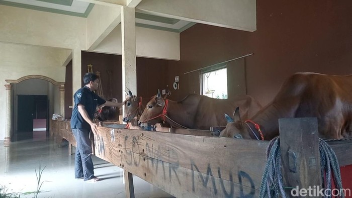 Sultan Madura Kandang Sapi Mewah