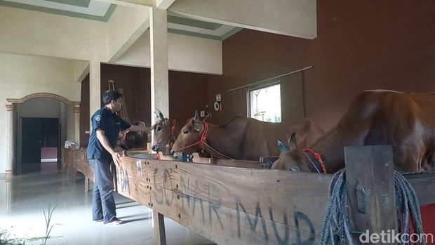Sultan Madura Kandang Sapi Mewah