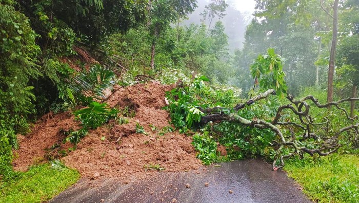 Tanah longsor yang terjadi di Dusun Sega, Desa Bunutan, Kecamatan Abang, Kabupaten Karangasem yang menutup seluruh akses jalan akibat hujan deras pada Jumat (10/2/2023). (istimewa)