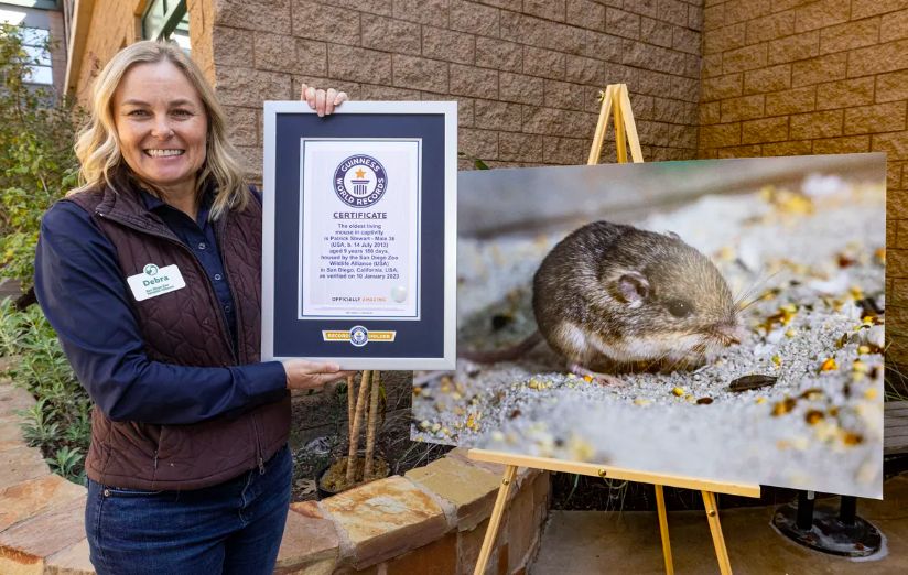 Tikus tertua di dunia