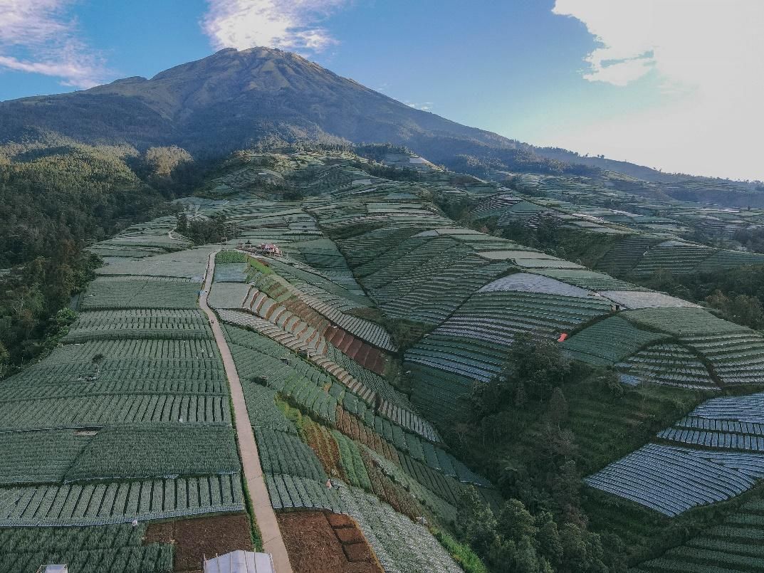 Tunas Agro Persada