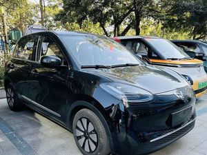 Wuling Masih Ogah Komentari Bingo di Indonesia, Fokus ke Air ev