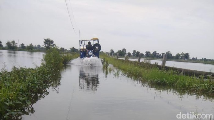 Banjir Lamongan