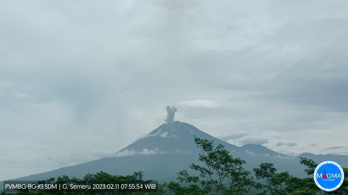 Gunung Semeru di Lumajang, kembali erupsi. Erupsi terjadi pukul 07.54 WIB, Sabtu (11/2/2023).