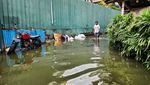 Hujan Deras di Jakarta Tadi Pagi Bikin Kawasan Ini Terendam