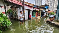 Warga beraktivitas di tengah genangan di Jalan Ophir Dalam, RT 007/001, Kelurahan Gunung, Kebayoran Baru, Jakarta Selatan, Sabtu (11/2/2023).