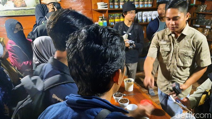 Kebun kopi bondowoso