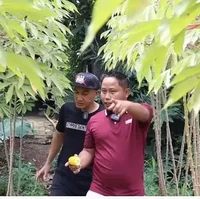 Terletak di belakang rumah, kebun sayur milik Narji itu memiliki luas mencapai 2.400 meter. Melalui salah satu video di kanal YouTube milik Rico Ceper, Narji pun tampak memamerkan kebun sayur miliknya itu. Foto: YouTube/Rico Ceper