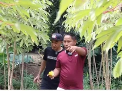 Kini Jadi Petani, Intip 8 Foto Kebun Sayur Narji yang Luasnya Ribuan Meter