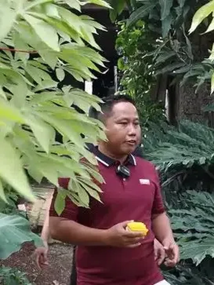 kebun sayur Narji