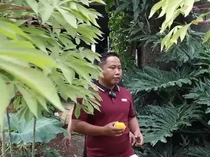 Narji Cagur Punya Lahan 1.000 Ha, Hampir 7 Kali Luas Kebun Binatang Ragunan