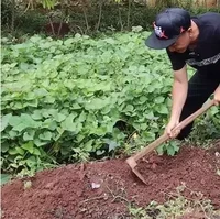 Narji mengaku awalnya ia hanya mencoba menanam pokcoy, kangkung, bayem, dan sayur-sayuran. Ternyata tumbuh dengan subur. Akhirnya setelahnya barulah ia mengembangkan dengan menanam lebih banyak, sperti menambahkan timun suri, jagung, dan lain-lain. Foto: YouTube/Rico Ceper