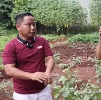 Hasil sayurnya juga tak hanya dinikmati oleh Narji dan keluarganya, melainkan juga para warga di sekitarnya. Untuk menanam sayur-sayurnya sendiri Narji dibantu dengan 5 orang petani yang ikut mengelola kebunnya itu. Foto: YouTube/Rico Ceper