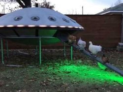 Ketika Ide dan Eksekusinya Tepat, Tercipta Karya yang Hebat