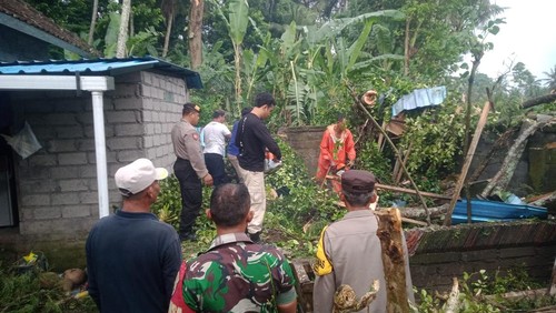 Pohon setinggi 15 meter lebih patah menimpa tempat suci keluarga di Desa Abiansemal, Badung, Bali, Sabtu (11/2/2023) sore.
