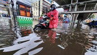 Tinggi air hampir selutut orang dewasa.