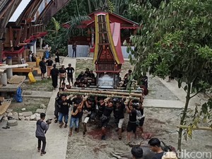 Melihat Ritual Mapalao, Tradisi Menggoyang Peti Jenazah di Toraja