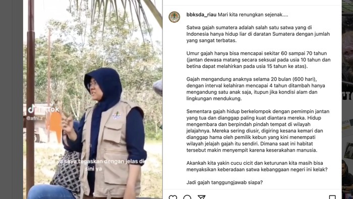 BBKSDA Riau