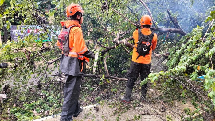Hujan dan Angin Kencang Landa Bogor, Pohon Tumbang di Sejumlah Titik (dok BPBD Kota Bogor)