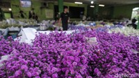 Jelang valentine, pesanan bunga mulai naik, namun menurut pedagang jumlahnya tidak sebanyak pesanan sebelum COVID-19.