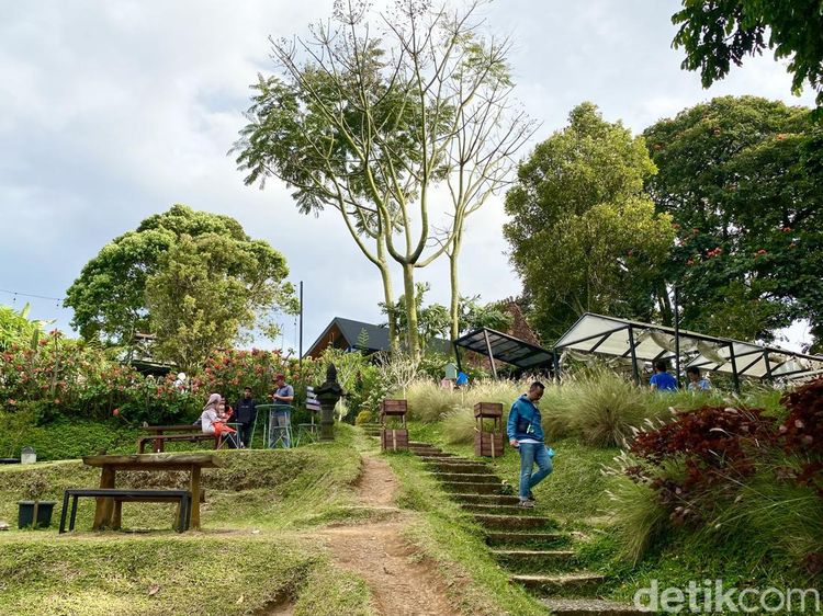 Menikmati Sejuknya Udara Dago di Kafe DPakar Sambil Makan Nasi Liwet