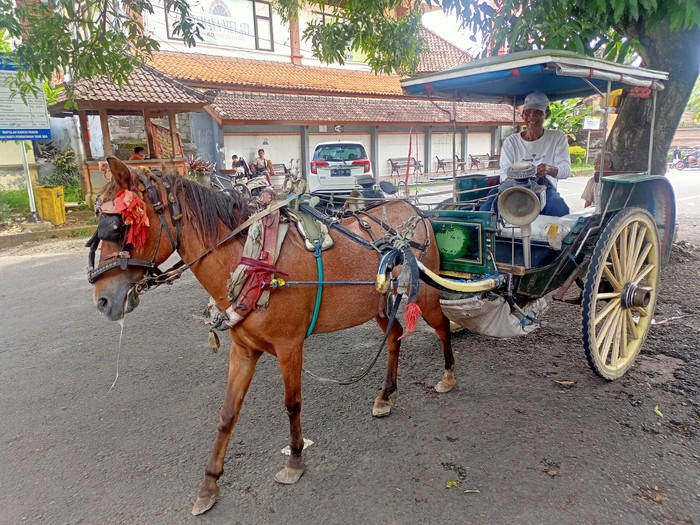 Ketut Dania, satu dari dua kusir dokar di Klungkung, Bali.