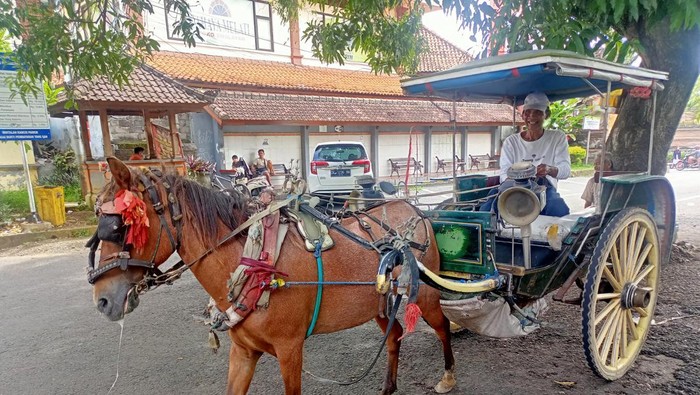 Ketut Dania, satu dari dua kusir dokar di Klungkung, Bali.