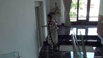 Adu Mewah, 7 Rumah Artis Ini Pakai Lift