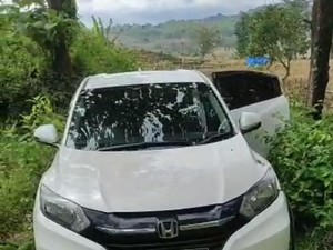 Cerita Angker soal Kera Hutan Tambakromo Pati, TKP Mobil Nyasar Misterius