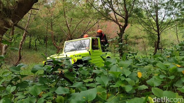 Rombongan wisatawan ketika menyusuri laguna hingga pantai Glagah menggunakan mobil jip wisata, Minggu (12/2/2023).