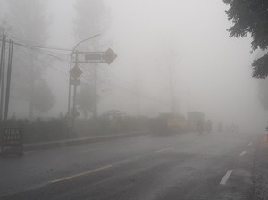 Lalin Puncak Bogor Macet dan Berkabut, Pengendara Diminta Waspada