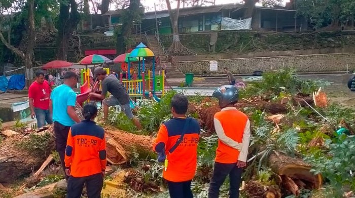 Dahan pohon trembesi di Objek Wisata Air Cokro, Klaten patah, Senin (13/2/2023).