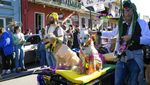 Gemas! Saat Anjing-anjing Peliharaan Ikut Parade