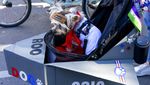 Gemas! Saat Anjing-anjing Peliharaan Ikut Parade