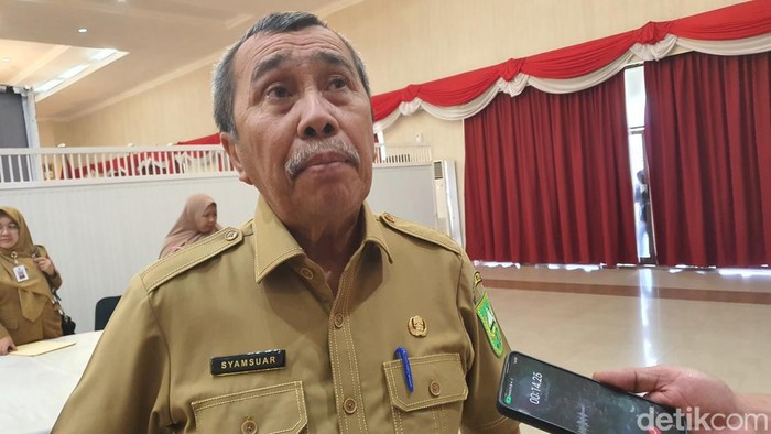 Gubernur Riau Syamsuar (Raja Adil Siregar/detikSumut)