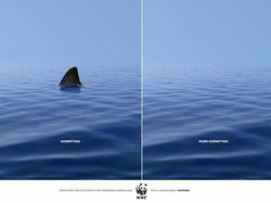 Deretan Iklan Kreatif yang Bikin Mata Betah Lihat Berkali-kali