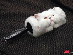 Deretan Iklan Kreatif yang Bikin Mata Betah Lihat Berkali-kali