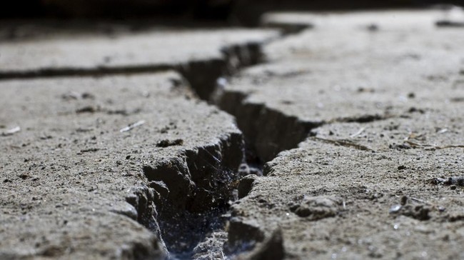 Heboh Ramalan Gempa Dashyat dari Manga Bikin Turis Batal ke Jepang