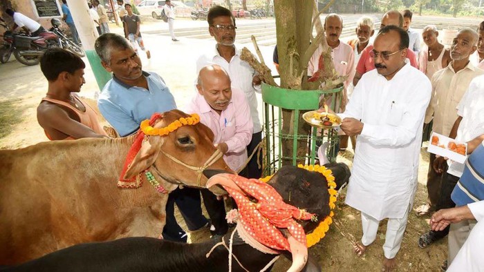 India Bikin Valentine Jadi Hari Peluk Sapi Pas Valentine Sapi dianggap sebagai hewan suci oleh penduduk Hindu di India. Pemerintah India berencana mengubah Hari Valentine menjadi Hari Peluk Sapi.
