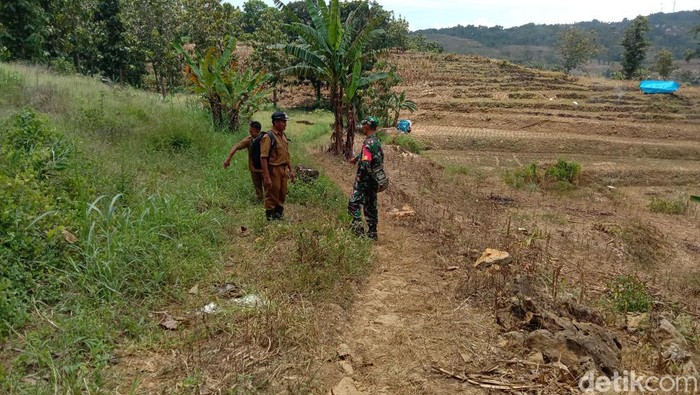 Jalan menuju lokasi mobil Honda HRV nyasar sampai tengah hutan di Desa Wukirsari, Kecamatan Tambakromo, Pati, Senin (13/2/2023).