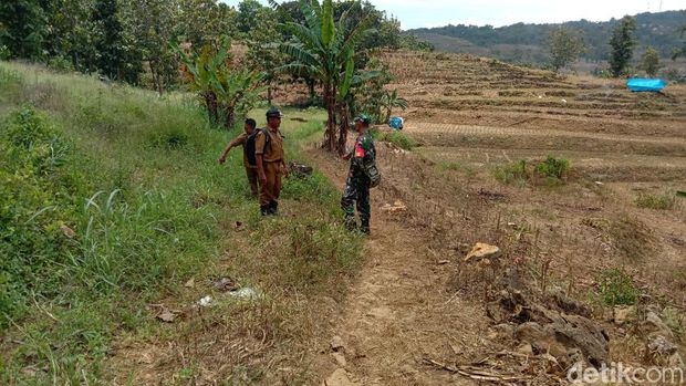 Jalan menuju lokasi mobil Honda HRV nyasar sampai tengah hutan di Desa Wukirsari, Kecamatan Tambakromo, Pati, Senin (13/2/2023).