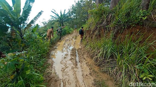 Jalan menuju lokasi mobil Honda HRV nyasar sampai tengah hutan di Desa Wukirsari, Kecamatan Tambakromo, Pati, Senin (13/2/2023).