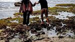 Pantai Ngrawah yang Cantik tapi Tersembunyi di Gunungkidul
