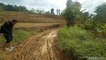 Menelusuri Jalur Berlumpur Hutan Tambakromo Pati TKP Mobil Nyasar Misterius