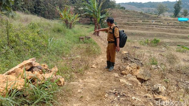 Lokasi mobil nyasar di hutan Desa Wukirsari, Kecamatan Tambakromo, Pati, Senin (13/2/2023).